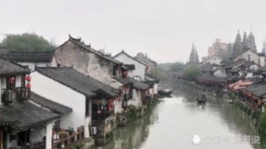 疯狂的小猫
